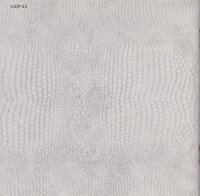 Lies Damned Lies - Lies Damned Lies (Japan)