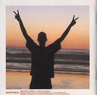 Fatboy Slim – Halfway Between The Gutter And The...