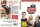 The Big Bang Theory - Staffel 1 (DVD)