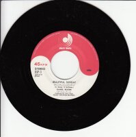 Daniel Boone - Beautiful Sunday (Japan)