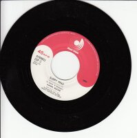 Daniel Boone - Beautiful Sunday (Japan)