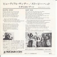 Daniel Boone - Beautiful Sunday (Japan)