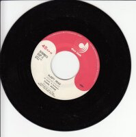 Daniel Boone - Beautiful Sunday (Japan)